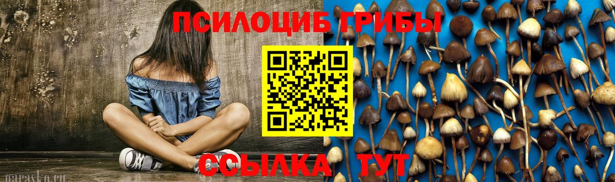 Прохладный  наркота  Вход с VPN  Галлюциногенные грибы Cubensis 